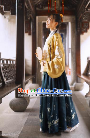 Chinese Traditional Ming Dynasty Replica Costumes Ancient Rich Lady Hanfu Dress for Women