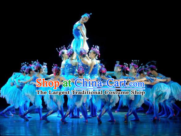 Chinese Traditional Classical Dance Costumes Group Dance Stage Performance Dress for Women