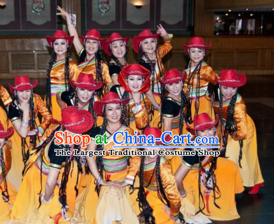 Chinese Traditional Tibetan Nationality Group Dance Costumes Classical Dance Stage Performance Dress for Women