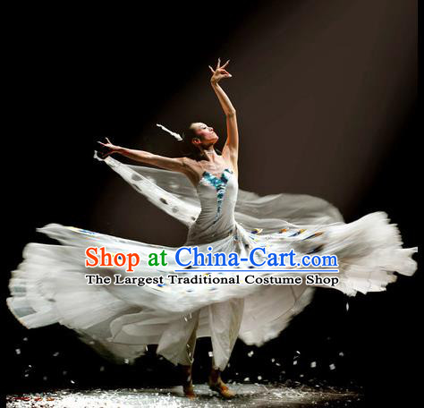 Chinese Traditional Dai Nationality Group Dance Costumes Classical Dance Stage Performance Dress for Women