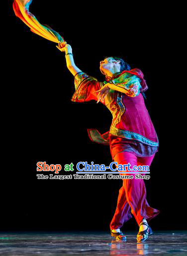 Chinese Traditional Classical Dance Costumes Stage Performance Yanko Dance Clothing for Women