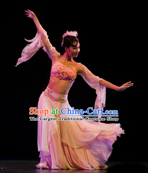 Chinese Traditional Classical Dance Group Dance Costumes Stage Performance Pink Dress for Women