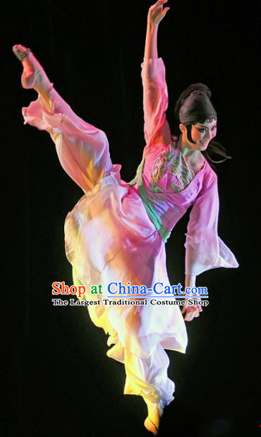 Chinese Traditional Classical Dance Group Dance Pink Costumes Stage Performance Dress for Women