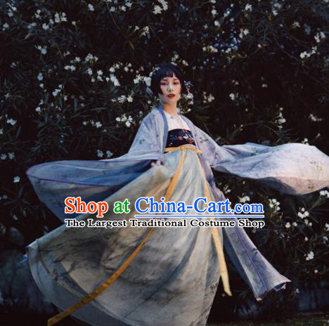 Chinese Traditional Tang Dynasty Princess Historical Costumes Ancient Imperial Concubine Embroidered Hanfu Dress for Women