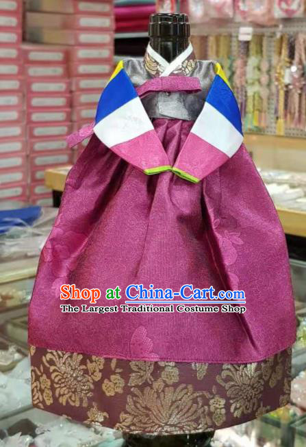 Traditional Korean Hanbok Clothing Grey Brocade Blouse and Purple Dress Asian Korea Ancient Fashion Apparel Costume for Kids