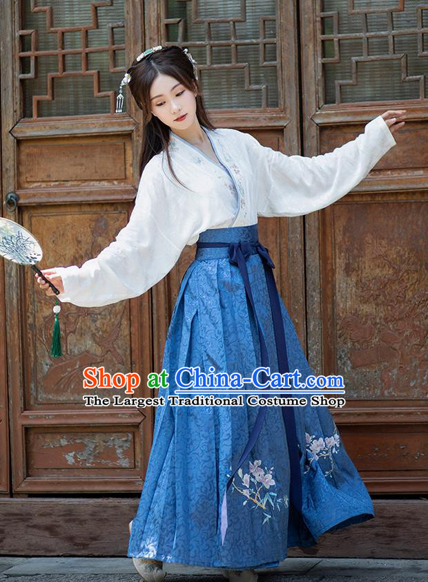 Traditional Chinese Ming Dynasty Aristocratic Lady Hanfu Dress Ancient Royal Princess Historical Costumes for Women