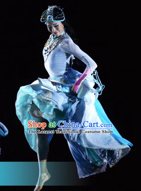 Traditional Chinese Zang Nationality Dance Dress Tibetan Ethnic Dance Stage Show Costume for Women