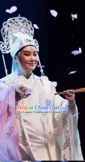 Traditional Chinese Classical Dance Costumes Beijing Opera Butterfly Lovers Dance Stage Show Clothing for Men