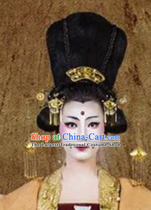 Traditional Chinese Classical Dance The Ballad of Beauties Du Fu Hair Accessories Water Sleeve Dance Wig Chignon Headdress for Women