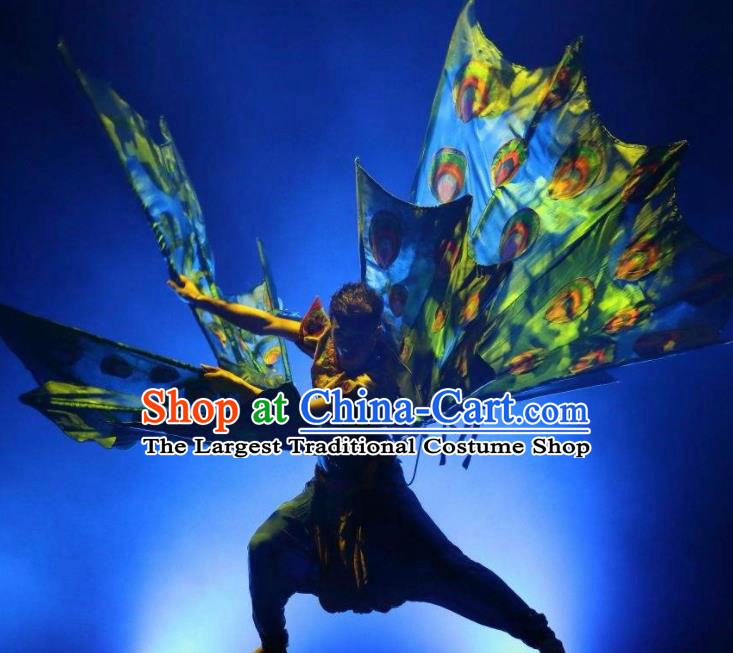 Chinese Dynamic Yunnan Ethnic Peacock Dance Stage Performance Costume for Men