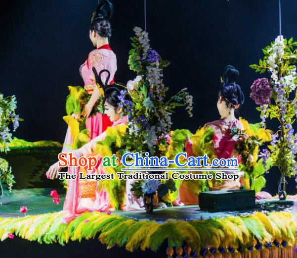 Chinese The Romantic Show of Tanhe Classical Dance Dress Stage Performance Costume for Women