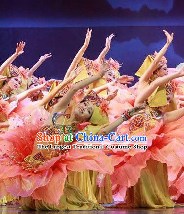 Chinese The Ship Legend of Huashan Zhuang Nationality Dance Pink Dress Stage Performance Costume and Headpiece for Women