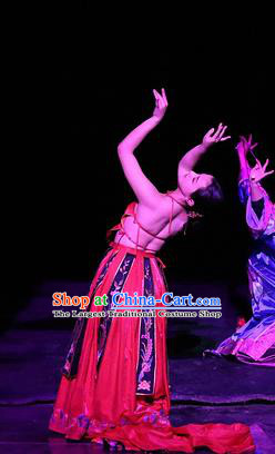 Chinese Dreaming In Hometown Classical Dance Red Dress Stage Performance Costume and Headpiece for Women