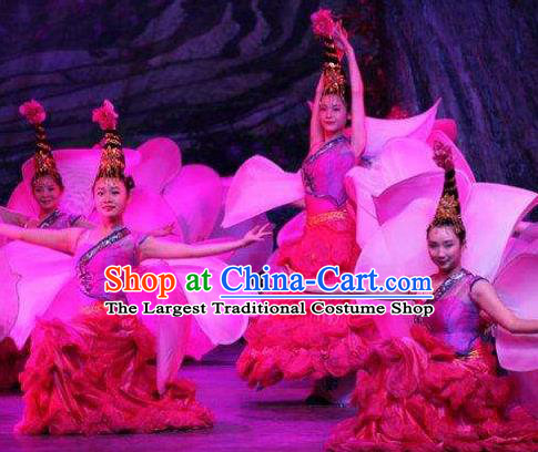Chinese Thorn Quinoa Flowers Classical Peony Dance Pink Dress Stage Performance Costume and Headpiece for Women