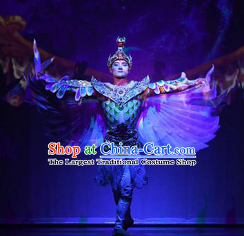 Chinese The Ancient Dunhuang Music Theatre General Feather Clothing Stage Performance Dance Costume for Men