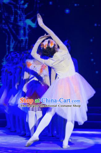 Traditional Chinese Children Classical Dance Crested Ibises Dress Stage Show Costume for Kids