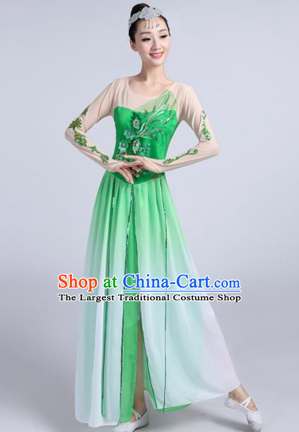 Traditional Chinese Classical Dance Lotus Dance Green Dress Stage Show Costume for Women