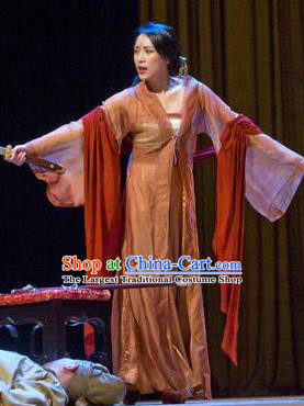 Chinese I Love Taohua Classical Dance Brown Dress Stage Performance Costume and Headpiece for Women