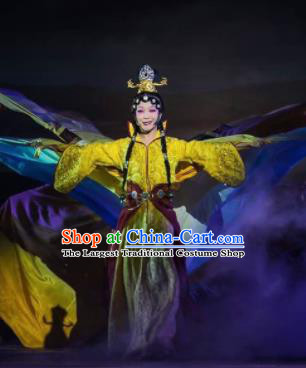 Chinese Zhaojun Chu Sai Ancient Court Classical Dance Dress Stage Performance Costume and Headpiece for Women