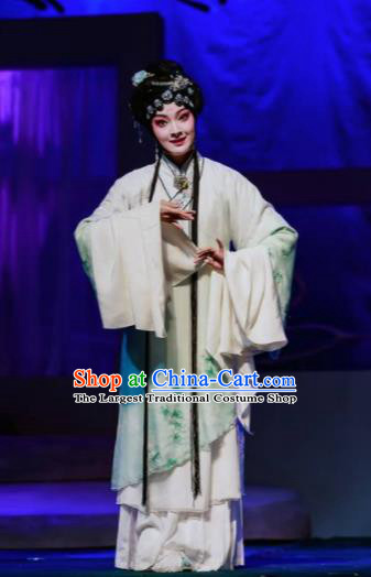 Chinese Peking Opera Lanruo Temple Fairy Nie Xiaoqian Dress Stage Performance Dance Costume and Headpiece for Women