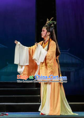 Chinese Shaoxing Opera Bronze Swallow Terrace Zhen Luo Dress Stage Performance Dance Costume and Headpiece for Women