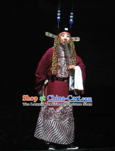 Su Wu In Desert Chinese Beijing Opera Official Clothing Stage Performance Dance Costume and Headpiece for Men