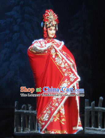 Su Wu In Desert Chinese Peking Opera Imperial Consort Red Dress Stage Performance Dance Costume and Headpiece for Women