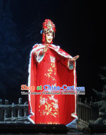 Su Wu In Desert Chinese Peking Opera Imperial Consort Red Dress Stage Performance Dance Costume and Headpiece for Women