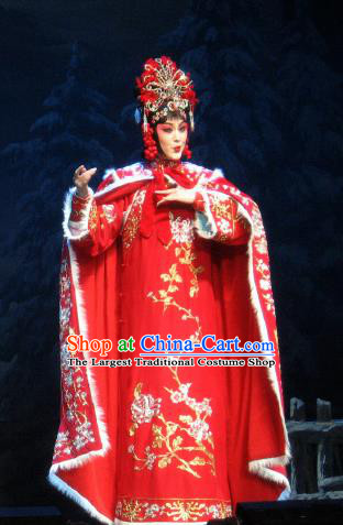 Su Wu In Desert Chinese Peking Opera Imperial Consort Red Dress Stage Performance Dance Costume and Headpiece for Women
