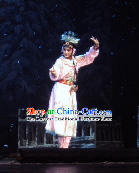 Su Wu In Desert Chinese Peking Opera Pink Dress Stage Performance Dance Costume and Headpiece for Women