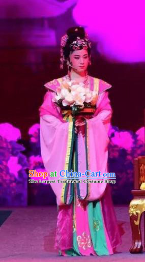 Amber Fate Chinese Beijing Opera Princess Pink Dress Stage Performance Dance Costume and Headpiece for Women