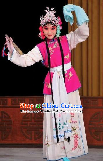 Chinese Traditional Beijing Opera Young Lady Dress Ancient Maidservants Costume for Adults