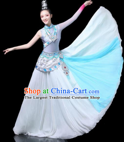 Chinese Traditional Ethnic Dance Costume Zang Nationality Dance Blue Dress for Women