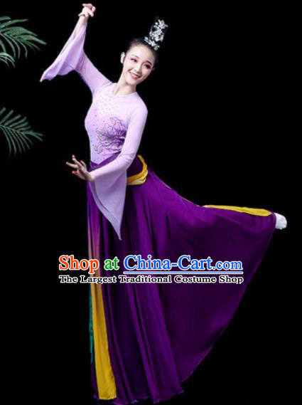 Traditional Chinese Classical Dance Costume Umbrella Dance Stage Performance Purple Dress for Women