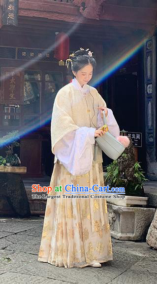 Chinese Traditional Ming Dynasty Historical Costume Ancient Aristocratic Lady Hanfu Dress for Women