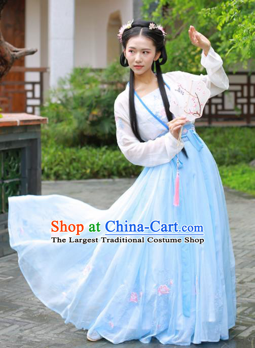 Chinese Ancient Peri Traditional Embroidered Hanfu Dress Tang Dynasty Princess Historical Costume for Women