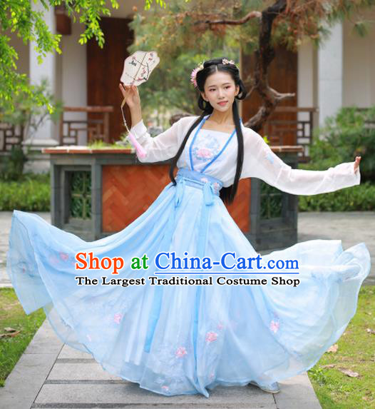 Chinese Ancient Peri Traditional Embroidered Hanfu Dress Tang Dynasty Princess Historical Costume for Women