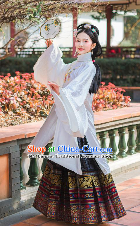 Chinese Ancient Ming Dynasty Palace Female Embroidered Historical Costume Complete Set