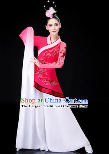 Chinese Traditional Classical Dance Rosy Dress Water Sleeve Dance Stage Performance Costume for Women