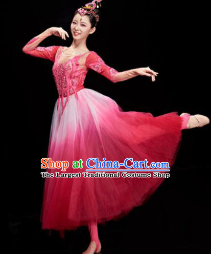 Chinese Traditional Opening Dance Chorus Rosy Veil Dress Modern Dance Stage Performance Costume for Women