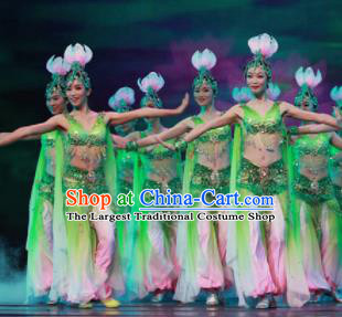 Chinese Traditional Classical Dance Green Clothing Lotus Dance Stage Performance Costume for Women