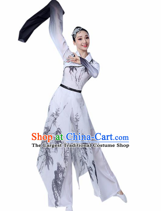 Chinese Traditional Stage Performance Costume Classical Dance Water Sleeve White Dress for Women