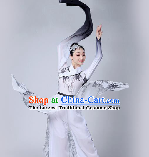 Chinese Traditional Stage Performance Costume Classical Dance Water Sleeve White Dress for Women