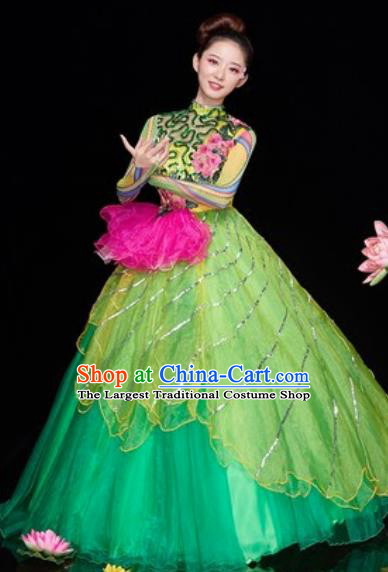 Chinese Traditional Spring Festival Gala Opening Dance Costume Modern Dance Green Veil Dress for Women