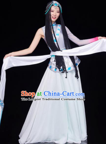 Chinese Traditional Tibetan Ethnic Folk Dance Dress Zang Nationality Dance Costume for Women