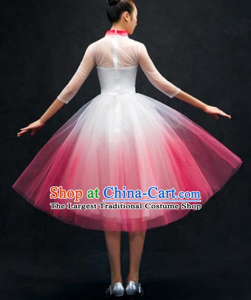 Chinese Classical Dance Costume Traditional Modern Dance Pink Veil Dress for Women