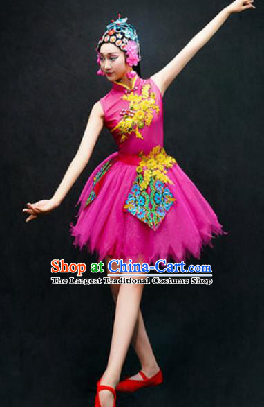 Chinese Classical Dance Costume Traditional Folk Dance Rosy Veil Dress for Women