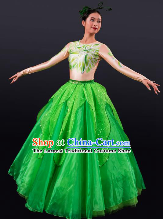 Chinese Spring Festival Gala Stage Green Veil Dress Traditional Modern Dance Opening Dance Costume for Women