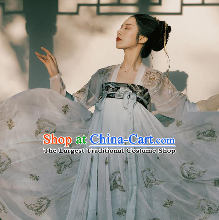 Chinese Traditional Tang Dynasty Imperial Concubine Historical Costume Ancient Peri Embroidered Hanfu Dress for Women
