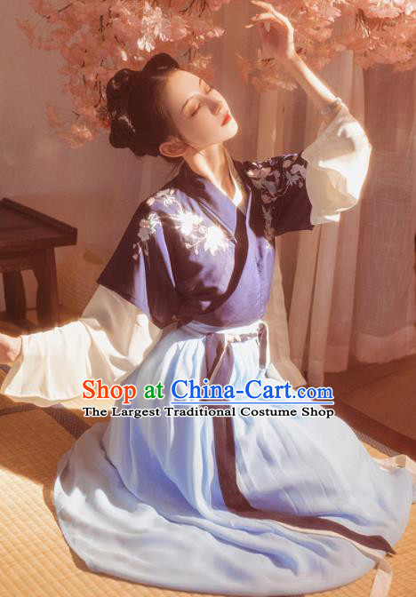 Chinese Traditional Tang Dynasty Court Lady Historical Costume Ancient Peri Embroidered Hanfu Dress for Women